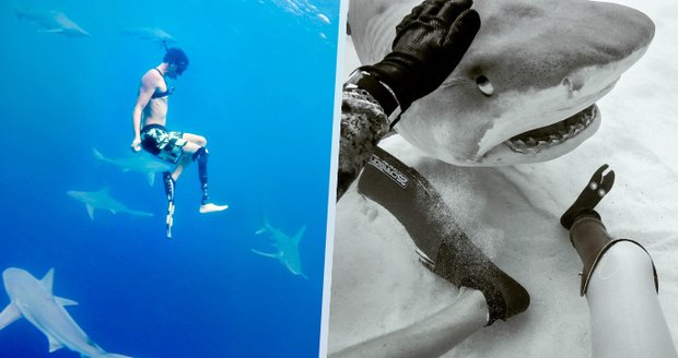 Co dělat při setkání se žralokem? Podivná rada milovníka a dlouholetého fotografa paryb