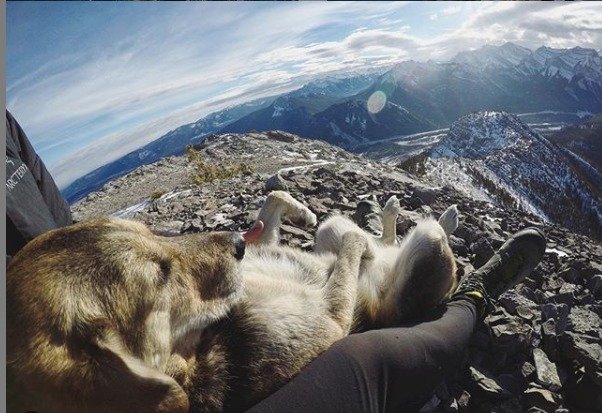 Kanaďan s přezdívkou Mountain Mike a jeho věrný pes BearBear zdolávají společně hory, fotí kanadskou přírodu a cestují po světě. Mike vše dokumentuje na instagramu