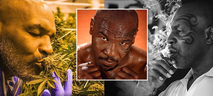 Boxer Mike Tyson je velkým pěstitelem a propagátorem marihuany!