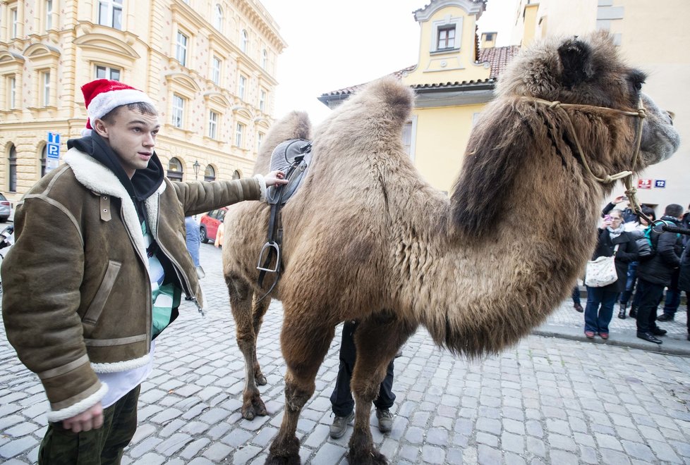 Mikolas Josef řádil na Karlově mostě! Šokoval turisty!