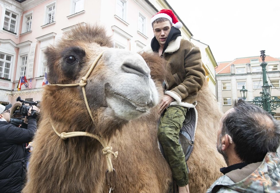 Mikolas Josef řádil na Karlově mostě! Šokoval turisty!