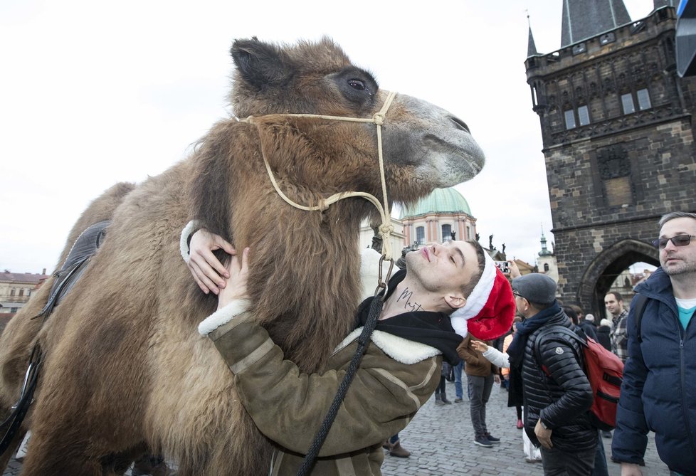 Mikolas Josef řádil na Karlově mostě! Šokoval turisty!