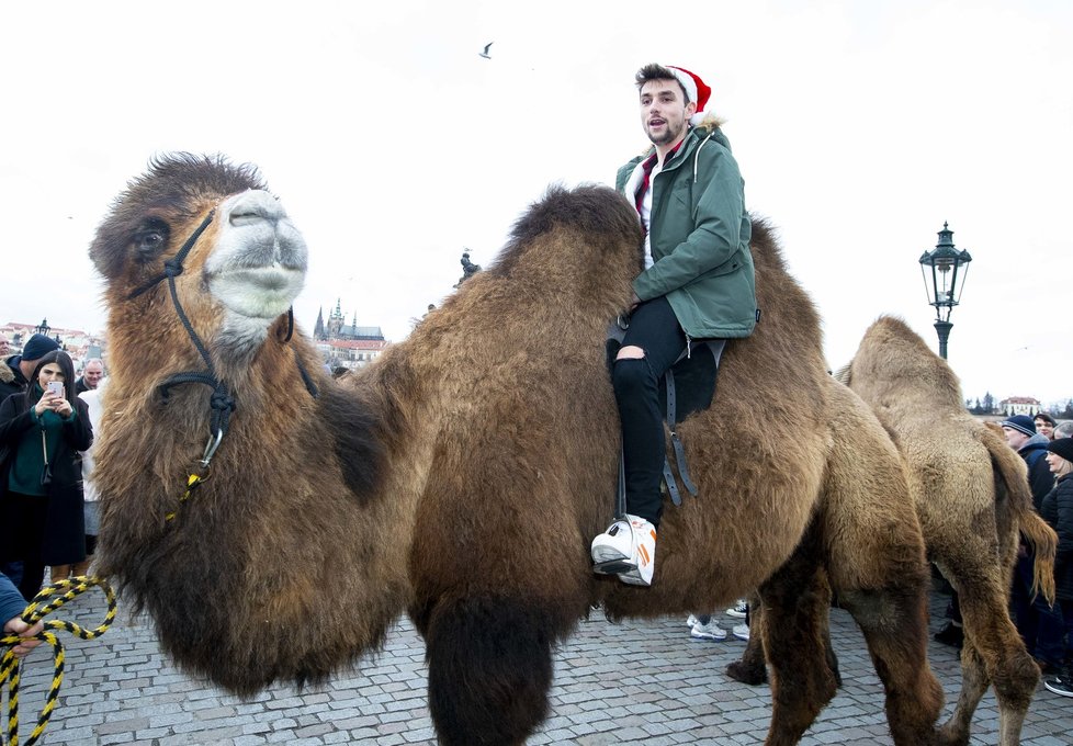 Mikolas Josef řádil na Karlově mostě! Šokoval turisty!