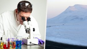 Mikroskopický organismus ze Sibiře oživl po 24 000 let dlouhém spánku v ledu