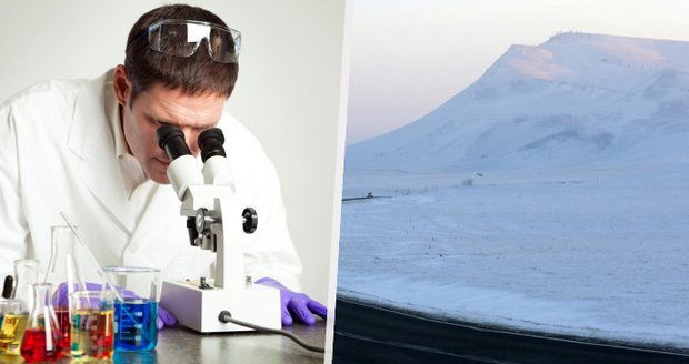 Přežil 24 tisíc let zmrzlý v ledu na Sibiři. Teď vědci organismus probrali k životu