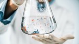 Převratný i šokující objev ostravských vědců: Mikroplasty v plodové vodě!