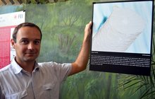 Jedinečná výstava fotografií zvířat v brněnské zoo: Svět pod mikroskopem!