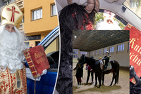 Městem chodí Mikuláš! Znáte původ a tradice mikulášské nadílky?