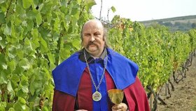 Jako podnikatel byl však známější svými mnohamilionovými daňovými úniky.