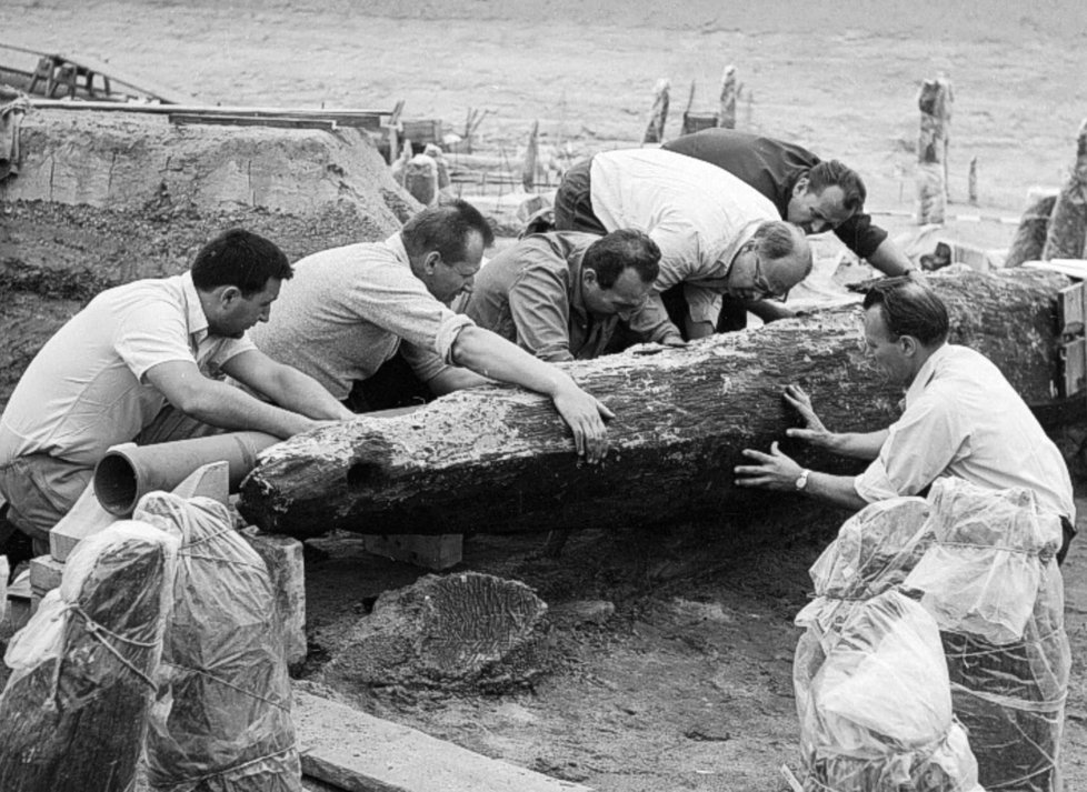 Archeologové našli velkomoravské čluny z 9. století v roce 1967 při průzkumu zaniklého říčního koryta.