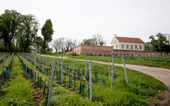 Barokní letohrádek Portz-Insel se postupně opravuje. Barokní letohrádek Portz-Insel se postupně opravuje.