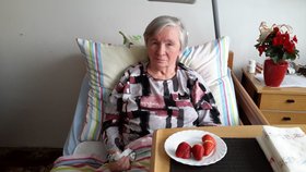Miladu (82) zachránil před covidovým zápalem plic ultrazvuk