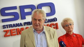 Někteří sponzoři SPOZ neví, že by peníze straně poslali. Miloš Zeman o žádných podvodech prý také neví.