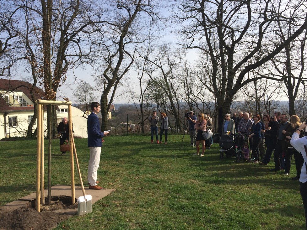 9. dubna proběhla výsadba jednoho z 85 stromů k poctě Olgy Halové. Tentokrát v parku Dlážděnka v pražských Kobylisích.