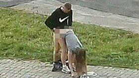 Milenci v Minsku měli sex za bílého dne poblíž hlavní silnice. Přihlížející je vyfotili a fotografie se rázem stala hitem internetu.