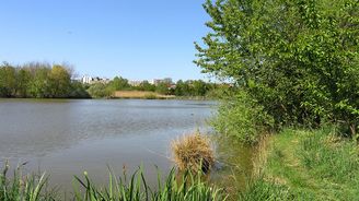 Praha koupí Milíčovský rybník v Jižním Městě, zaplatí skoro sedm milionů