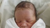 Herečka Milla Jovovich porodila: Známe pohlaví a jméno miminka!
