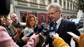 Šéf Senátu Miloš Vystrčil (ODS)