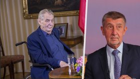 Babiš zamíří za Zemanem do Lán. Jde si pro podporu prezidentského kandidáta ANO?