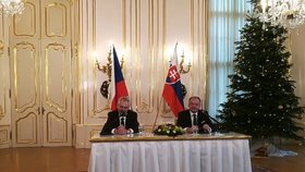 Tisková konference českého prezidenta Miloše Zemana a slovenské hlavy státu Andreje Kisky.