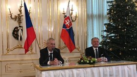 Tisková konference českého prezidenta Miloše Zemana a slovenské hlavy státu Andreje Kisky