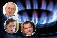 Prezident Miloš Zeman pro Blesk: Marže za plyn? Jako lichva!