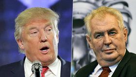 Setká se prezident Zeman s Donaldem Trumpem?