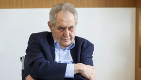 Exprezident Miloš Zeman