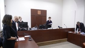 První soud kvůli Zemanovu Peroutkovi: Soudkyně Sedláková čte rozsudek.