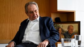 Bývalý prezident Miloš Zeman ve své kanceláři (27. 4. 2023)