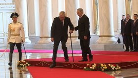 Miloš Zeman se při chůzi stále opírá o hůl.