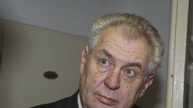 V prosinci 2012 byl Zeman před prezidentskou volbou žádat o podporu v sídle ÚV KSČM.