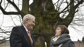 Zeman v Libereckém kraji: V Tatobitech u tisícileté lípy, stromu roku 2015. Doprovodili ho starostka Lenka Malá a hejtman Martin Půta.