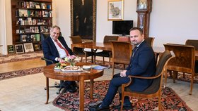 Jurečka „orodoval“ u Zemana za jmenování Hladíka. Prezident se s kandidátem na ministra sejde