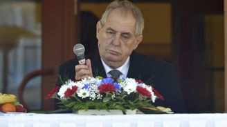 Vladimír Mertlík: Zeman je Nejedlý, myšlenku neudrží ani neopustí