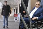 Podle předsedy Senátu Miloše Vystrčila zatím není důvod sahat po článku 66 ústavy, kterým by se prezident Miloš Zeman zbavil pravomocí.