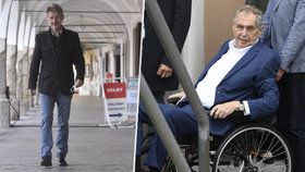 Podle předsedy Senátu Miloše Vystrčila zatím není důvod sahat po článku 66 ústavy, kterým by se prezident Miloš Zeman zbavil pravomocí.