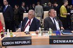 Prezident Zeman na summitu NATO