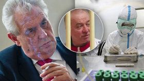 Miloš Zeman svým tvrzením, že byl novičok vyráběn v Česku, potěšil Rusko. Podle Kremlu tak vyvrátil lži Theresy Mayové.