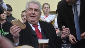 Miloš Zeman při návštěvě zabijačky