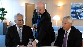 Český prezident Miloš Zeman (vlevo) se před svým vystoupením na Parlamentním shromáždění Rady Evropy (PSRE) 10. října ve Štrasburku setkal s generálním tajemníkem Rady Evropy Thornbjörnem Jaglandem (vpravo).