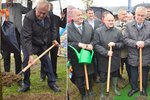 Prezident s lopatou: Miloš Zeman vyrazil na sázení stromků do aleje v Novém Veselí