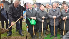 Prezident s lopatou: Miloš Zeman vyrazil na sázení stromků do aleje v Novém Veselí