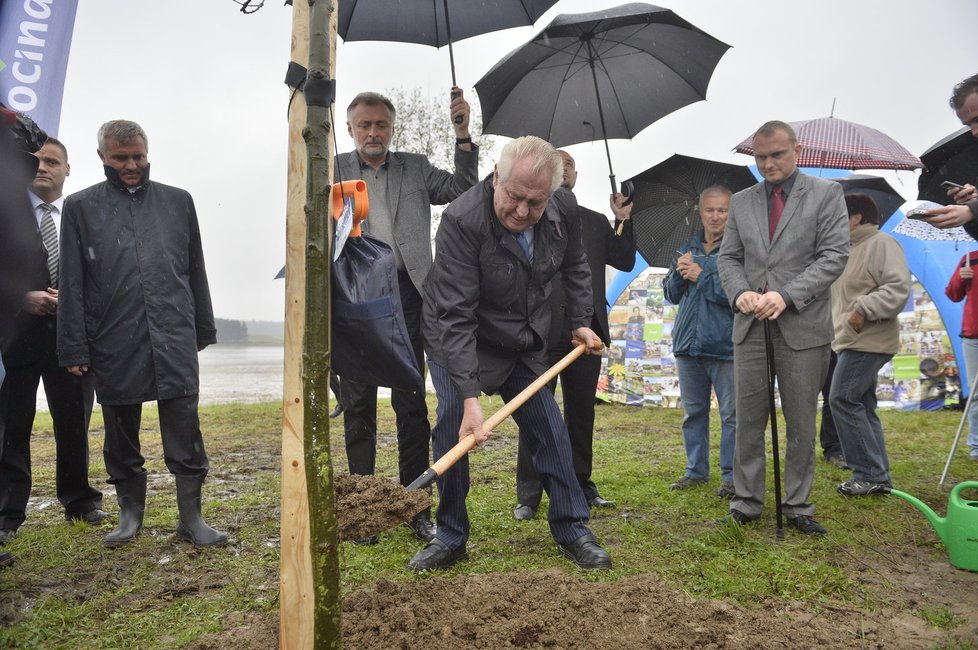 Miloš Zeman se spolu s hejtmany zúčastnil slavnostního sázení aleje, pojmenované po zavražděném studentovi ze Žďáru (17.10.2014)