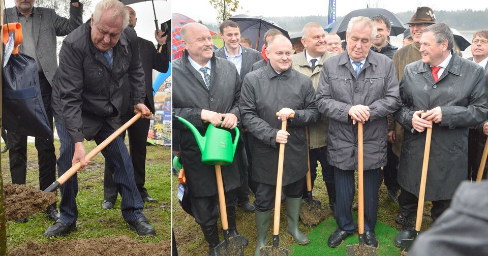 Prezident s lopatou: Miloš Zeman vyrazil na sázení stromků do aleje v Novém Veselí. (17.10.2014)