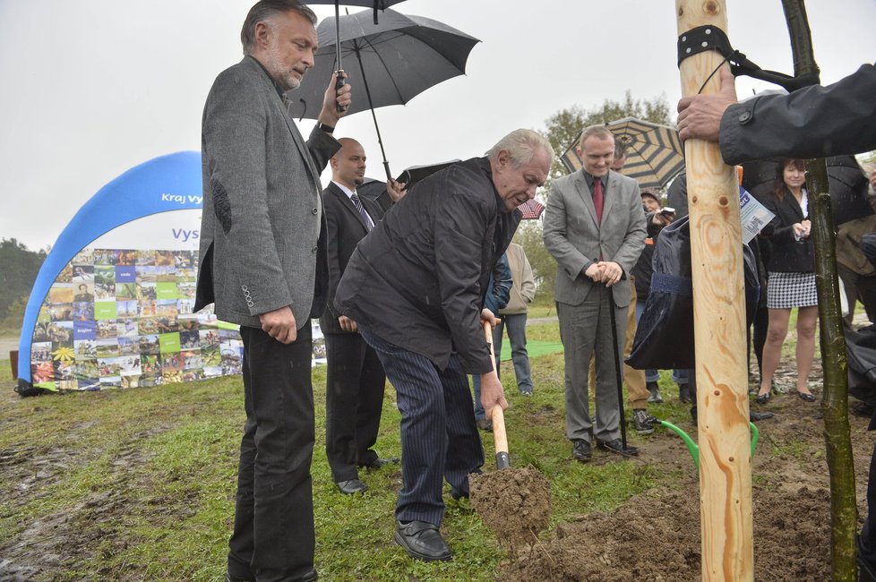 Miloš Zeman s lopatou. Takhle jste ho mohli nedávno vidět i u Lánského zámečku (17.10.2014)