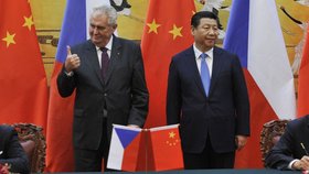 Miloš Zeman prý udělal v Číně při svém vyjádření o stabilizování společnosti chybu