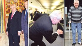 Za vrávoravý krok prezidenta Miloše Zemana nemůže jeho vášeň k alkoholu, ale bolest.