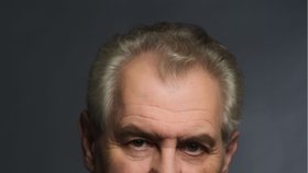 Toto je oficiální portrét nastupujícho prezidenta Miloše Zemana