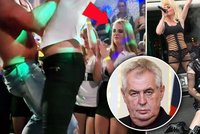 Kate údajně vyrazila na pornoakci, co dělal Miloš Zeman? Nadával na sexuální skandál Pussy Riot!
